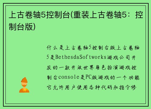 上古卷轴5控制台(重装上古卷轴5：控制台版)